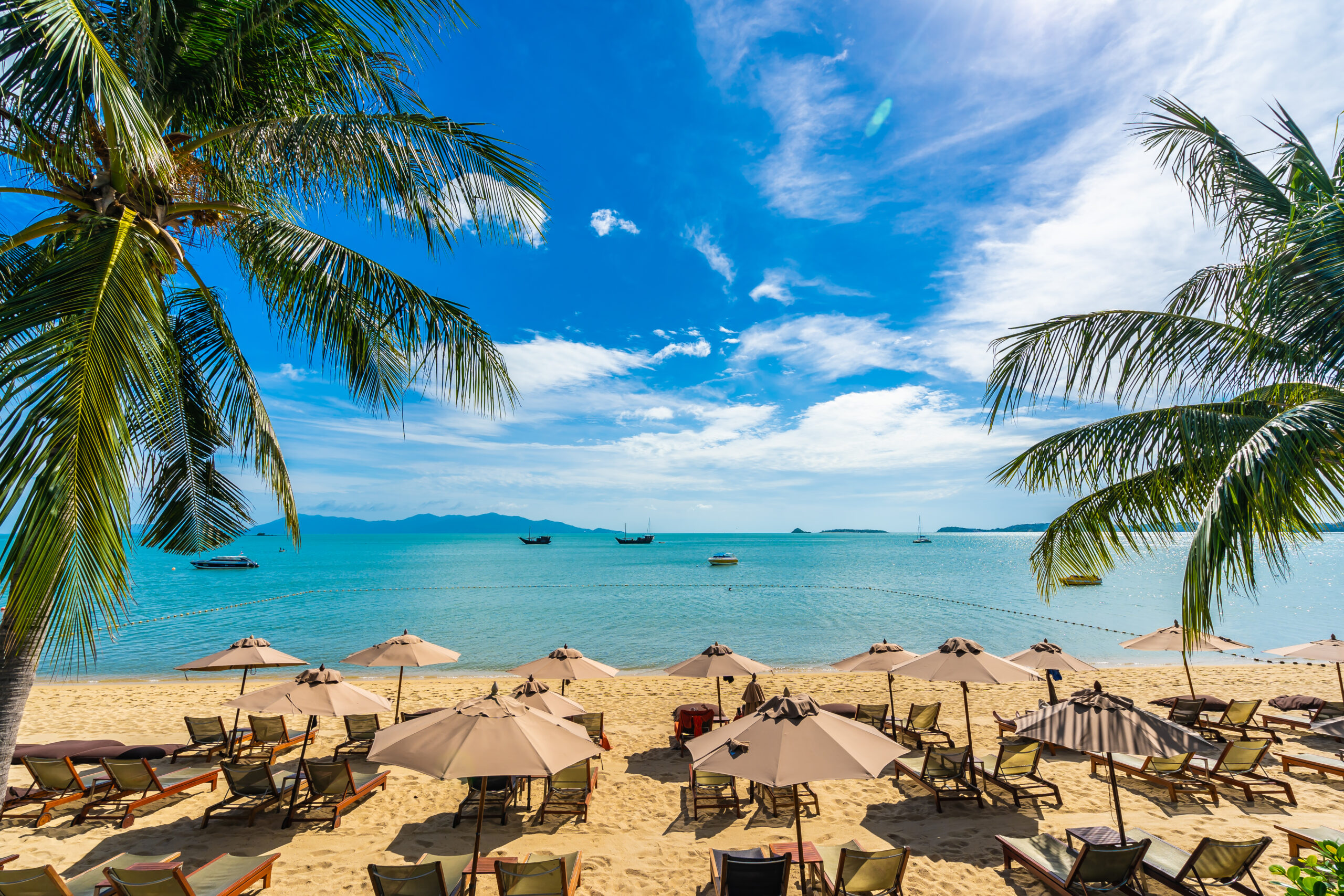 Goa: Sun, Sand & Adventure on a Budget